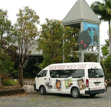 Daintree Wild Bed & Breakfast Bed and Breakfast Eksteriør billede